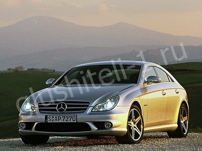 Купить глушитель, катализатор, пламегаситель Mercedes-Benz CLS C219 в Москве